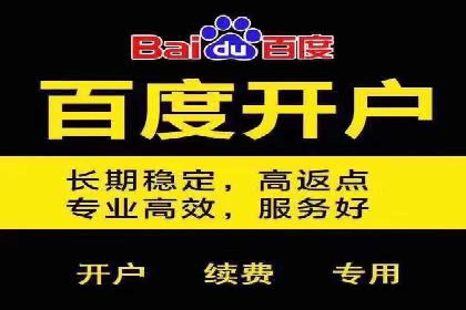 成功运用SEM技术提升网站流量的案例研究